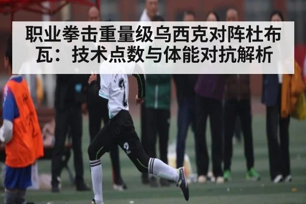 职业拳击重量级乌西克对阵杜布瓦：技术点数与体能对抗解析