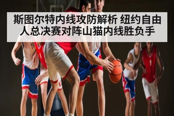 斯图尔特内线攻防解析 纽约自由人总决赛对阵山猫内线胜负手
